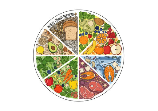 Circular diagram representing the distribution of meal types across a balanced daily eating structure